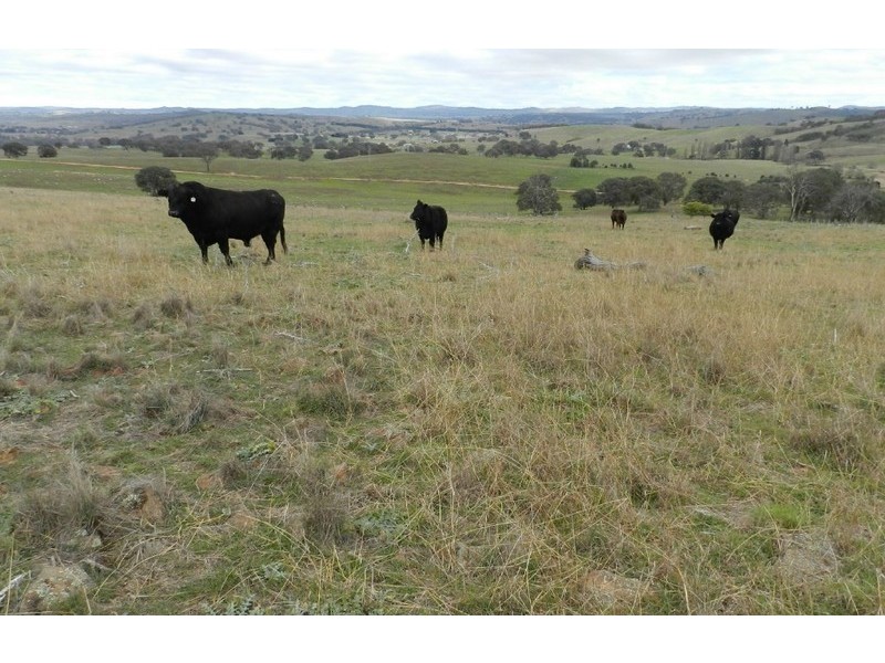 Lot 1 Bevendale  Road, Crookwell NSW 2583