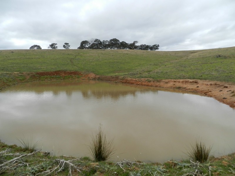 Lot 1 Bevendale  Road, Crookwell NSW 2583