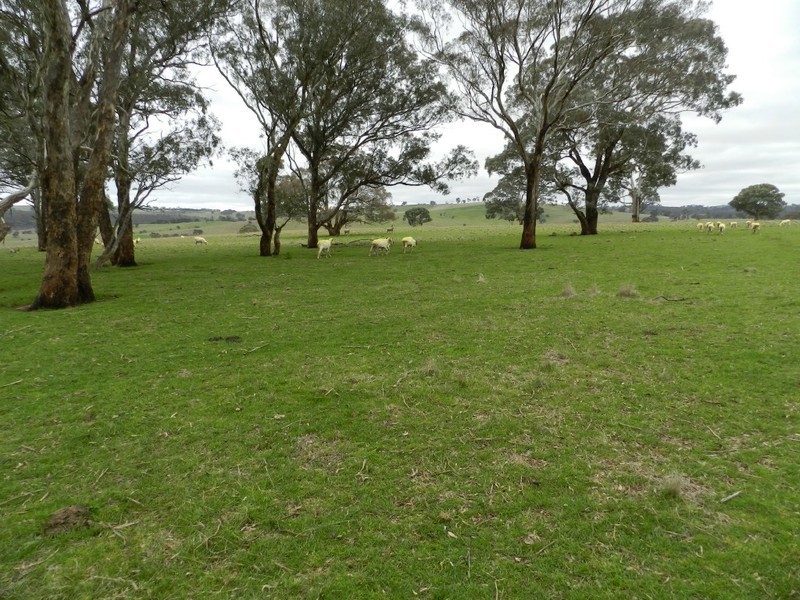 Lot 1 Bevendale  Road, Crookwell NSW 2583