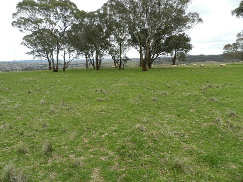 Lot 1 Bevendale  Road, Crookwell NSW 2583