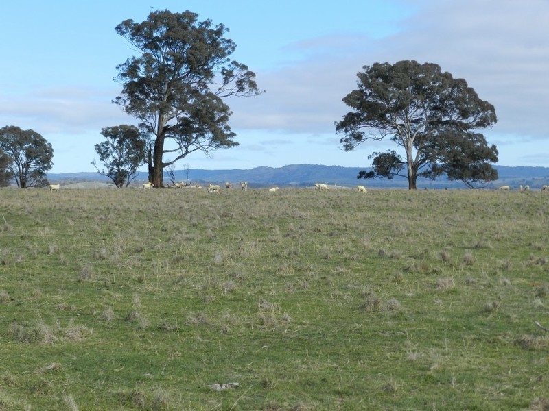 Lot 1 Bevendale  Road, Crookwell NSW 2583
