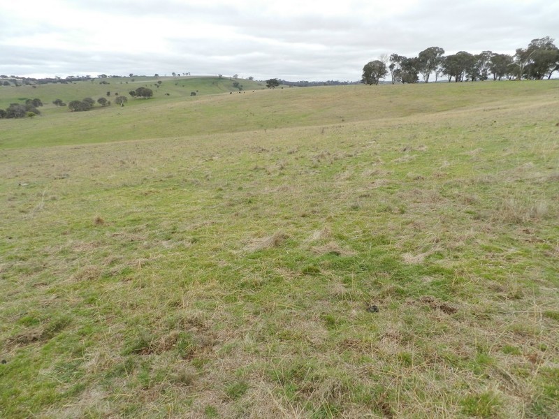 Lot 1 Bevendale  Road, Crookwell NSW 2583