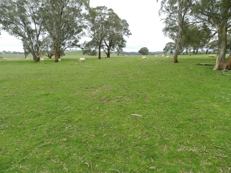 Lot 1 Bevendale  Road, Crookwell NSW 2583