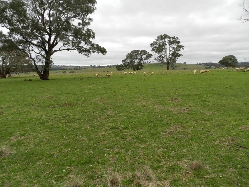 Lot 1 Bevendale  Road, Crookwell NSW 2583