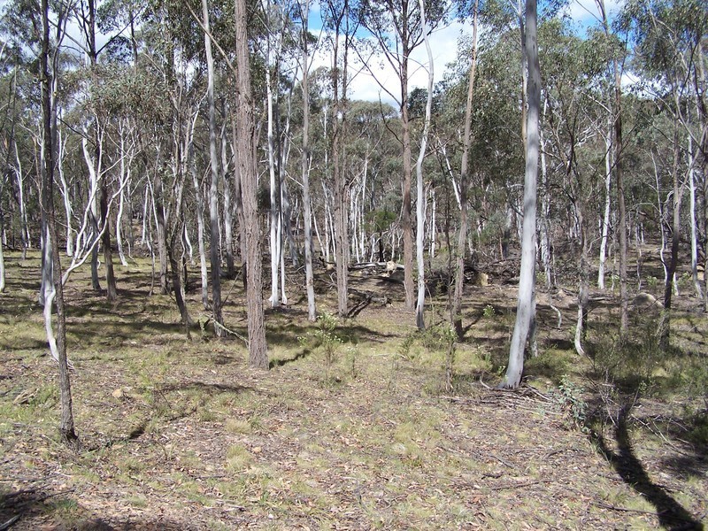 381 Winfarthing  Road, Marulan NSW 2579