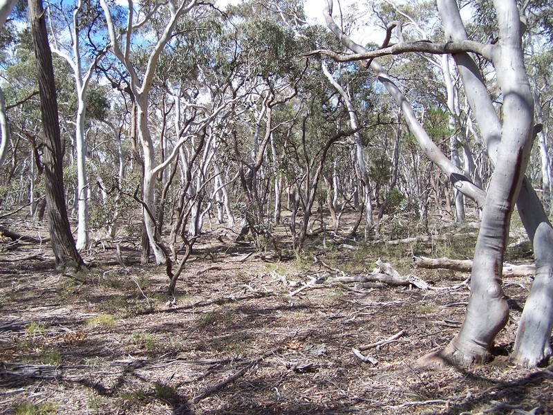 381 Winfarthing  Road, Marulan NSW 2579