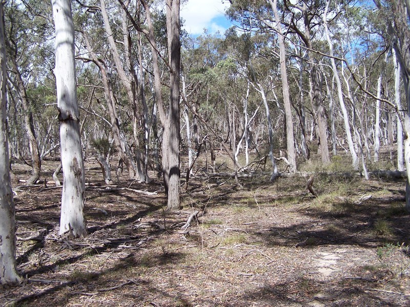 381 Winfarthing  Road, Marulan NSW 2579