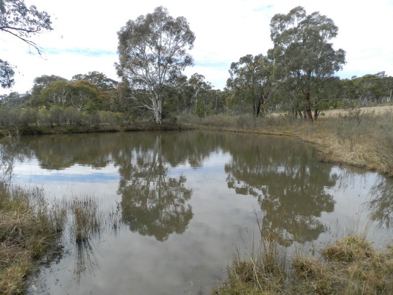 702 Carrick  Road, Towrang NSW 2580