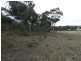 702 Carrick  Road, Towrang NSW 2580