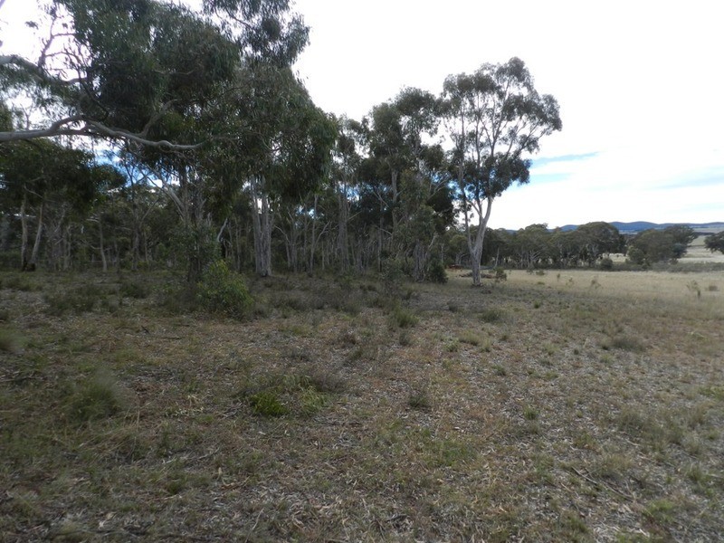 702 Carrick  Road, Towrang NSW 2580