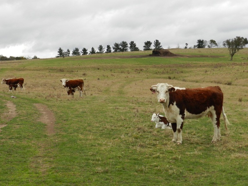 Kentgrove South Hume Highway, Goulburn NSW 2580