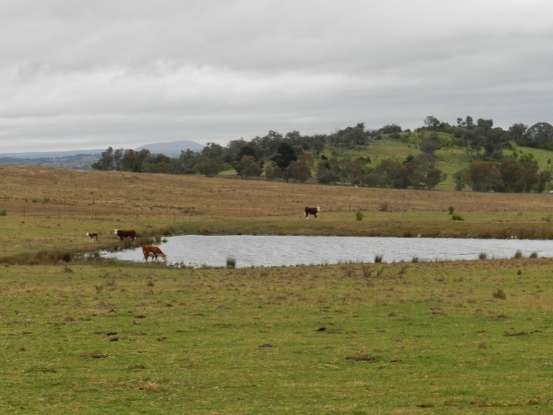 Kentgrove South Hume Highway, Goulburn NSW 2580