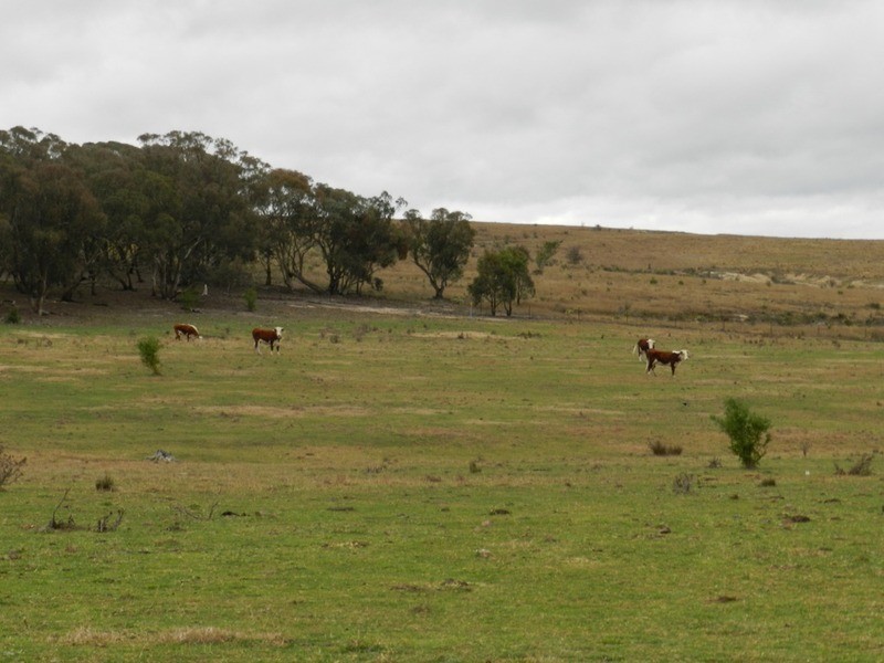 Kentgrove South Hume Highway, Goulburn NSW 2580