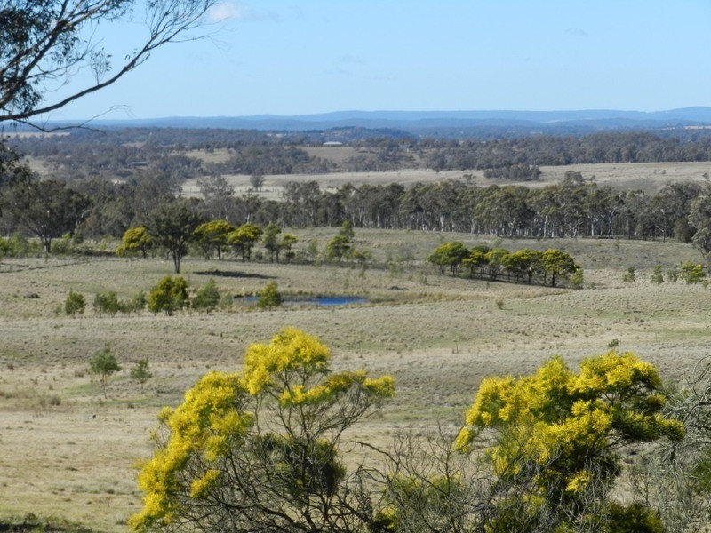 231  Bullamilita Road, Quialigo NSW 2580