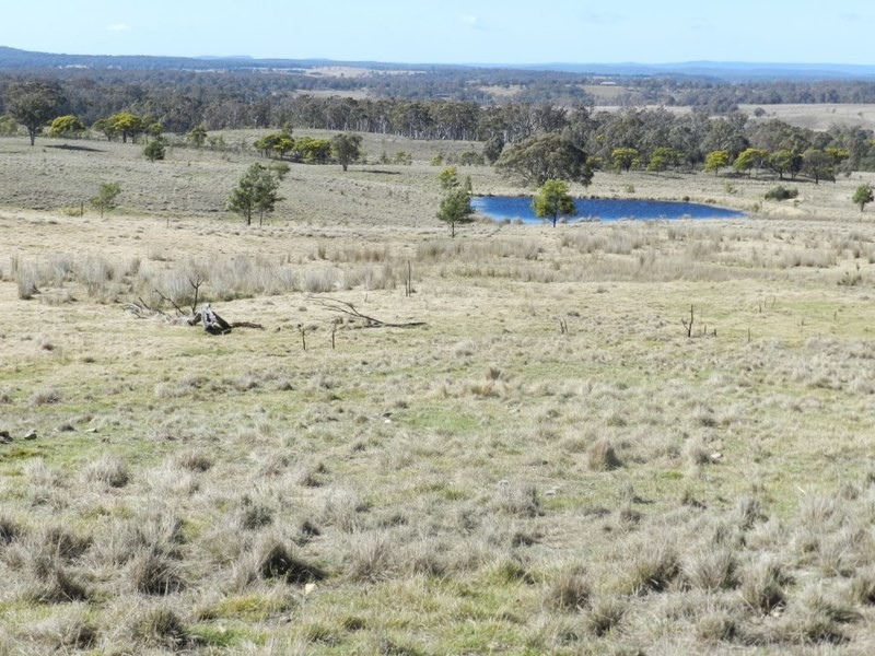 231  Bullamilita Road, Quialigo NSW 2580