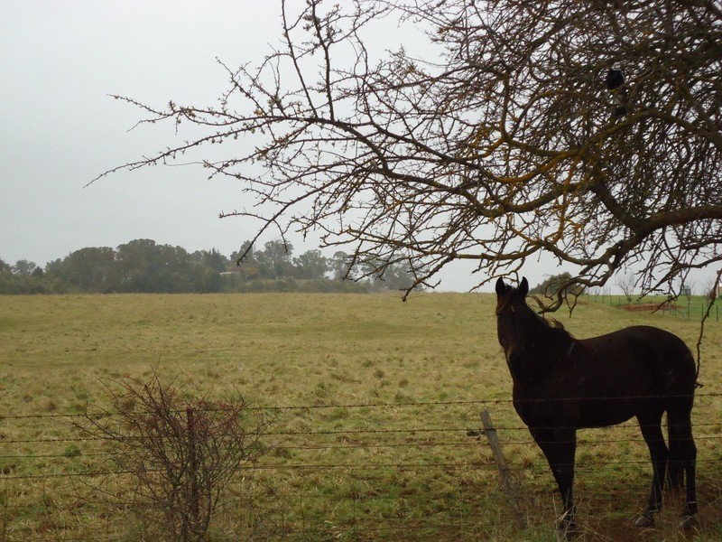 Lot 3 Woodward Lane, Crookwell NSW 2583