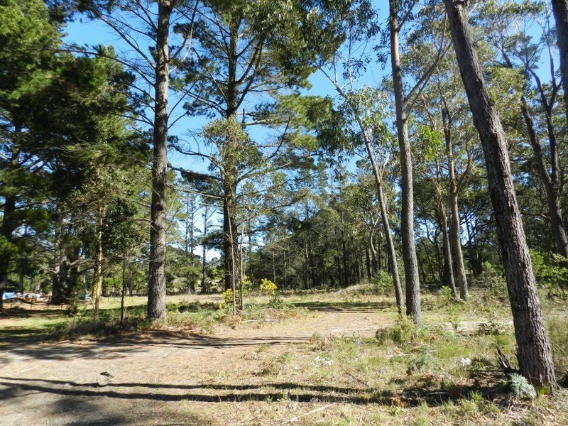 29 Pine Tree Road, Wingello NSW 2579