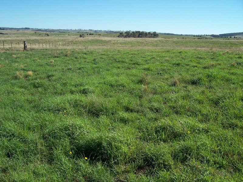 30 Bligh Lane, Roslyn NSW 2580