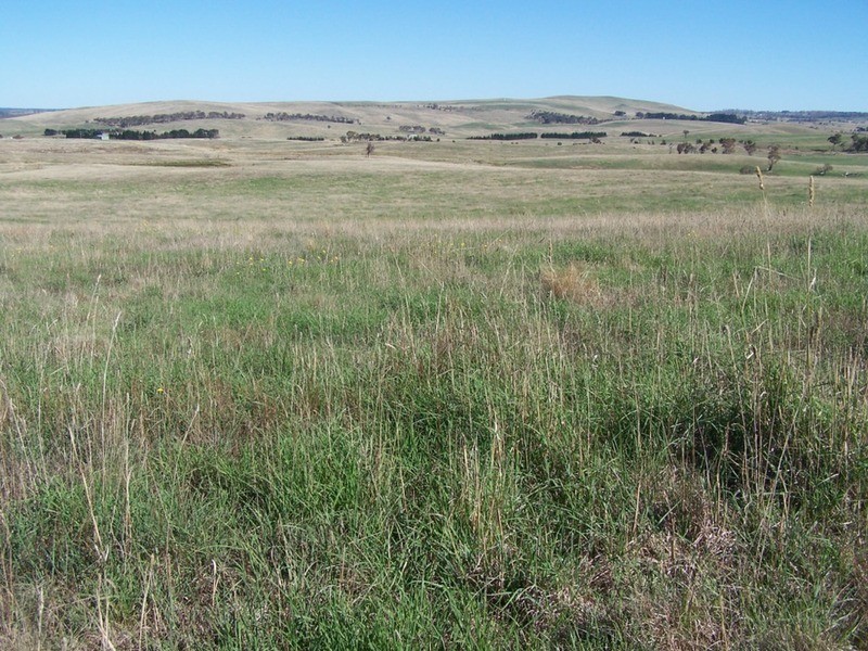 30 Bligh Lane, Roslyn NSW 2580