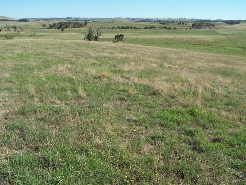 30 Bligh Lane, Roslyn NSW 2580