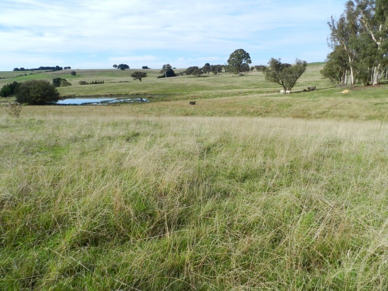 Keira-Lee Taralga Road, Laggan NSW 2583