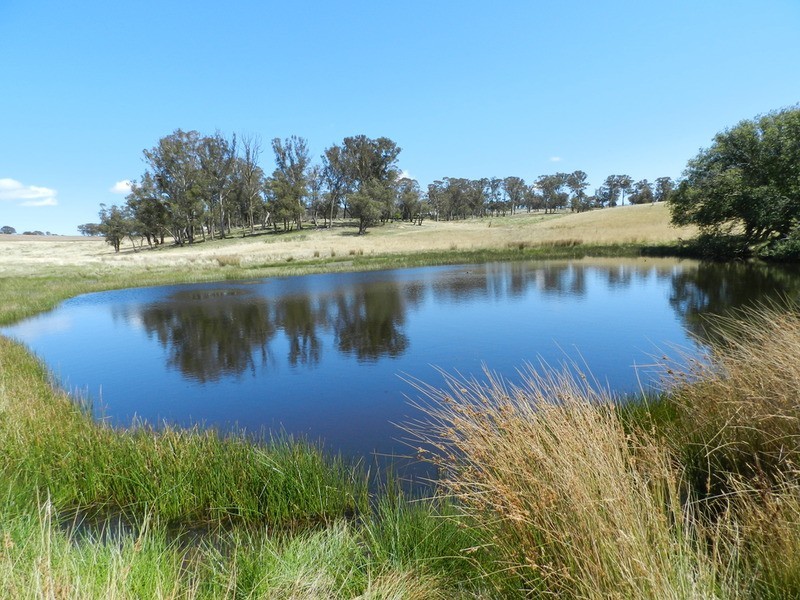 Keira-Lee Taralga Road, Laggan NSW 2583