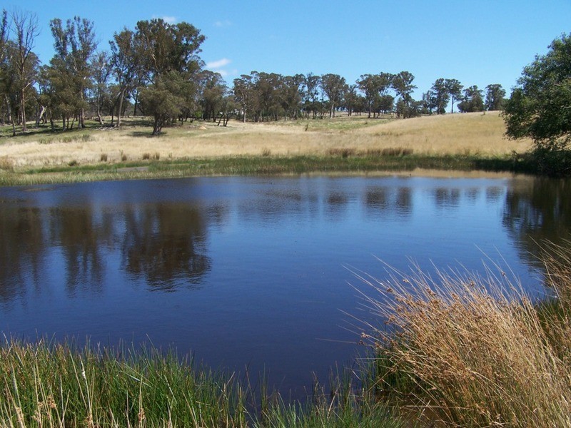 Keira-Lee Taralga Road, Laggan NSW 2583