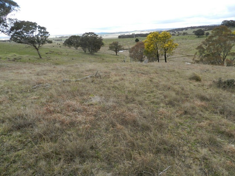 Lot 4 Mullins Creek Road, Breadalbane NSW 2581