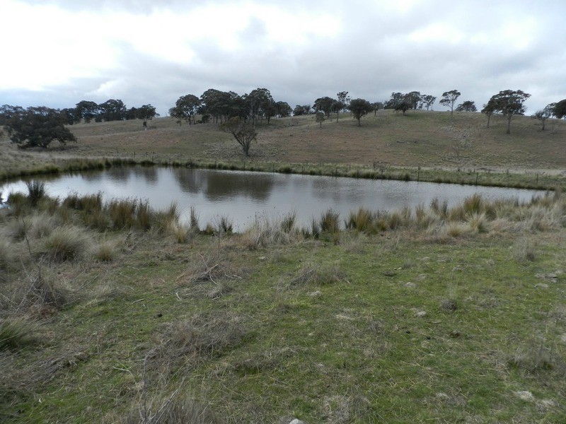 Lot 4 Mullins Creek Road, Breadalbane NSW 2581