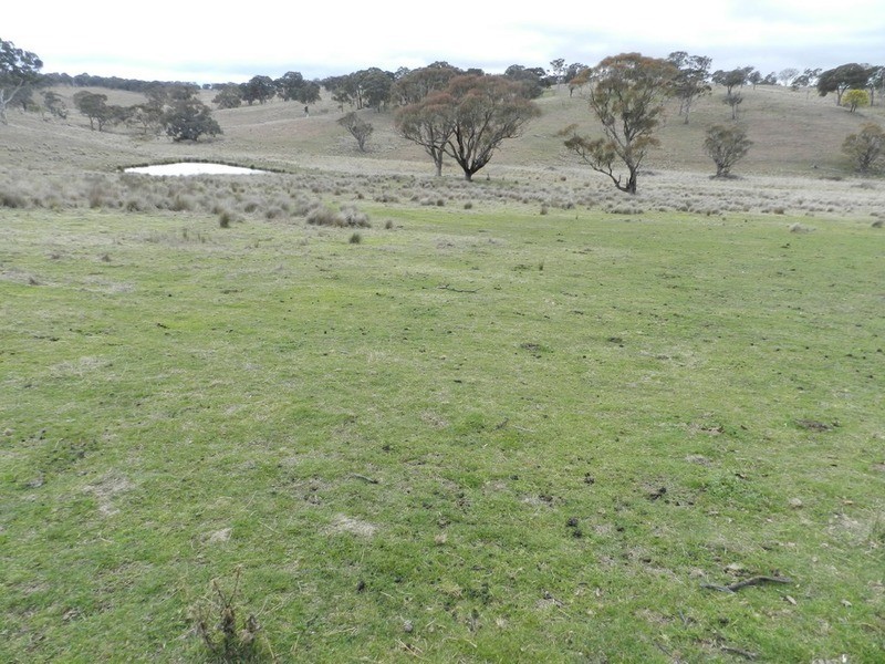 Lot 4 Mullins Creek Road, Breadalbane NSW 2581