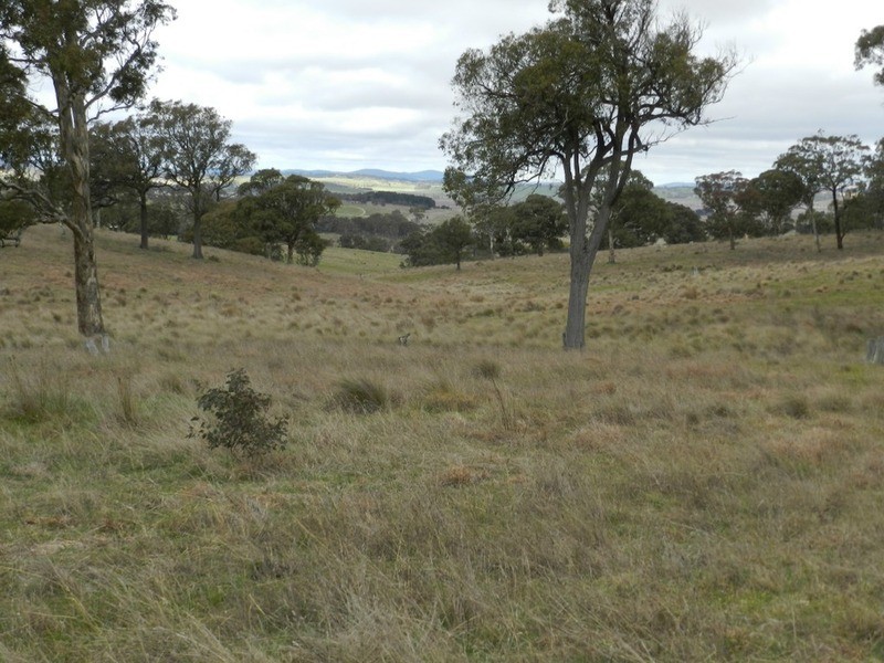 Lot 4 Mullins Creek Road, Breadalbane NSW 2581