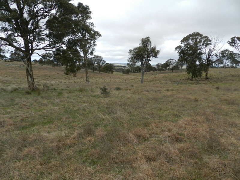 Lot 4 Mullins Creek Road, Breadalbane NSW 2581