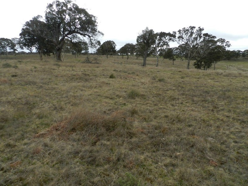 Lot 4 Mullins Creek Road, Breadalbane NSW 2581