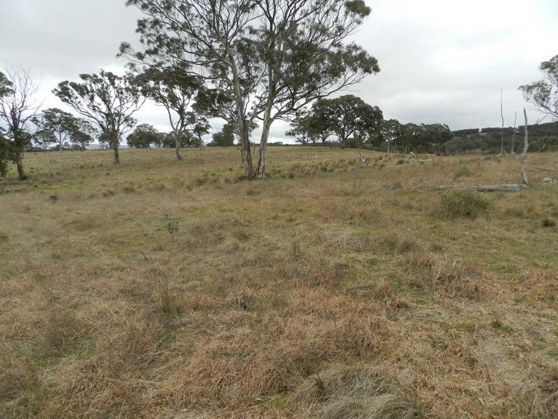 Lot 4 Mullins Creek Road, Breadalbane NSW 2581
