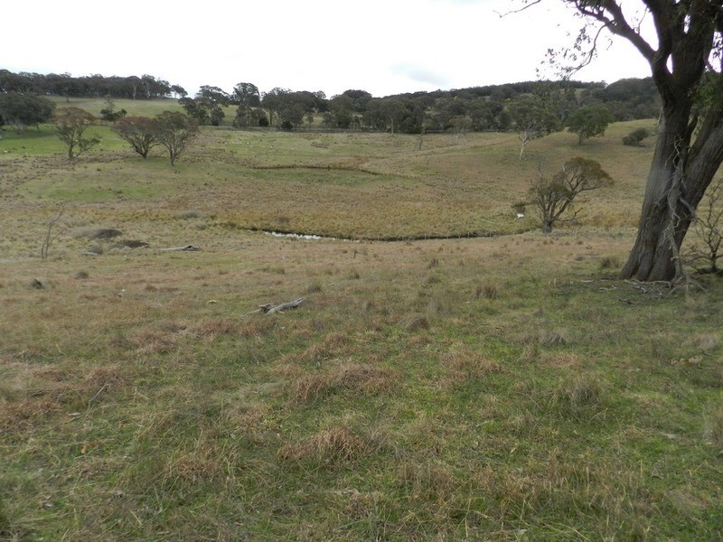 Lot 4 Mullins Creek Road, Breadalbane NSW 2581