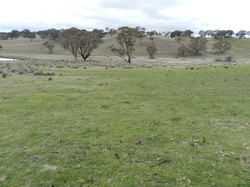 Lot 4 Mullins Creek Road, Breadalbane NSW 2581