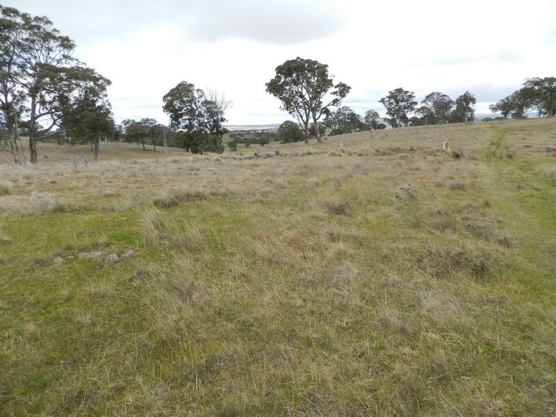 Lot 4 Mullins Creek Road, Breadalbane NSW 2581