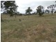Lot 4 Mullins Creek Road, Breadalbane NSW 2581