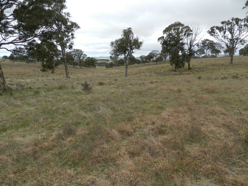 Lot 4 Mullins Creek Road, Breadalbane NSW 2581