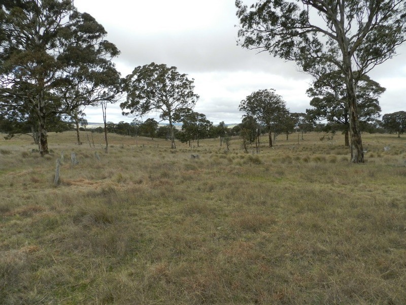 Lot 4 Mullins Creek Road, Breadalbane NSW 2581