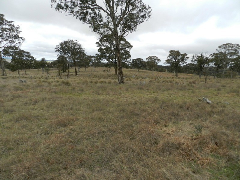 Lot 4 Mullins Creek Road, Breadalbane NSW 2581