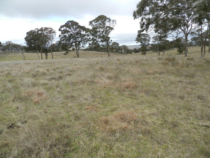 Lot 4 Mullins Creek Road, Breadalbane NSW 2581