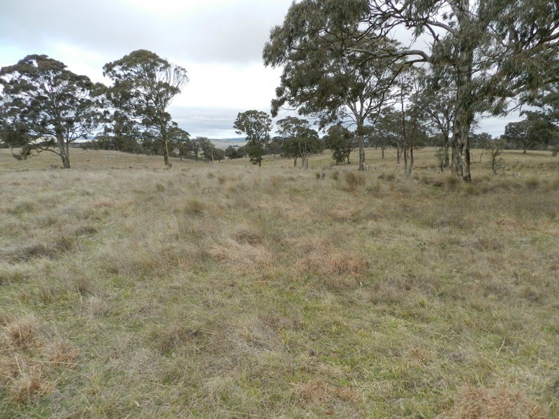 Lot 4 Mullins Creek Road, Breadalbane NSW 2581