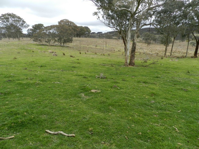 Lot 4 Mullins Creek Road, Breadalbane NSW 2581