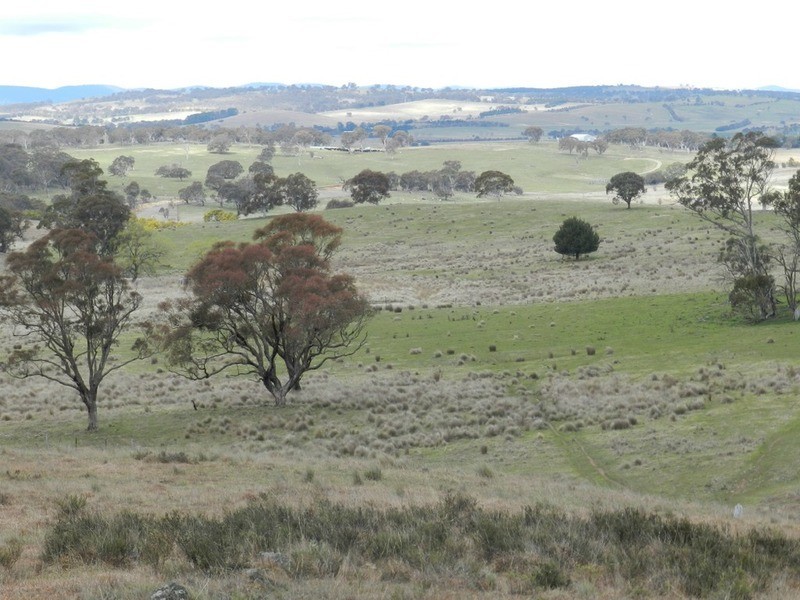 Lot 4 Mullins Creek Road, Breadalbane NSW 2581