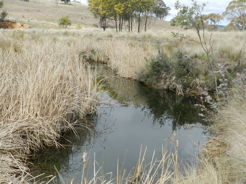 Lot 4 Mullins Creek Road, Breadalbane NSW 2581