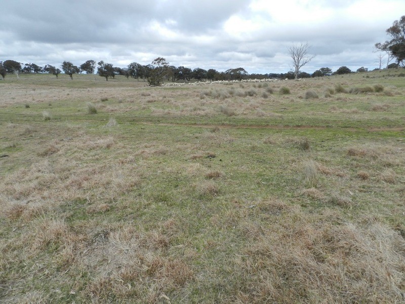 Lot 4 Mullins Creek Road, Breadalbane NSW 2581