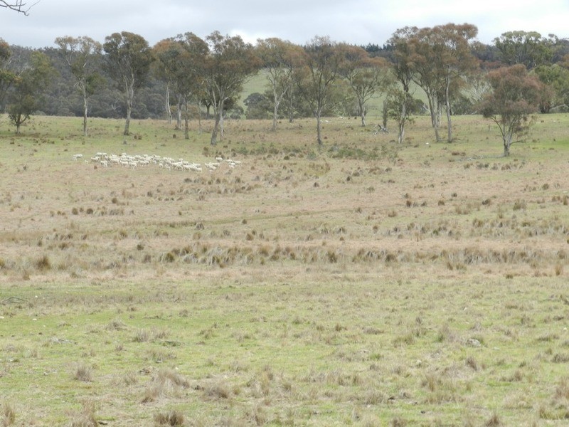 Lot 4 Mullins Creek Road, Breadalbane NSW 2581