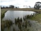 Lot 4 Mullins Creek Road, Breadalbane NSW 2581