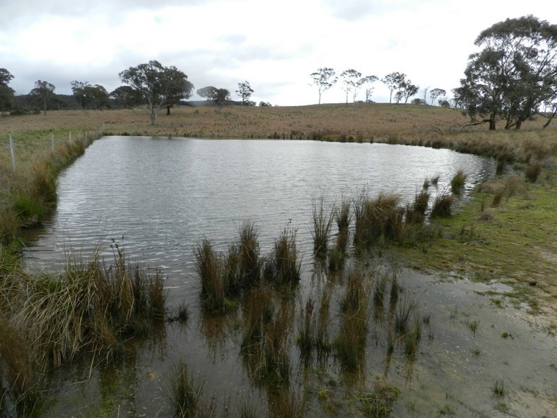 Lot 4 Mullins Creek Road, Breadalbane NSW 2581